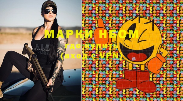 крисы Аркадак