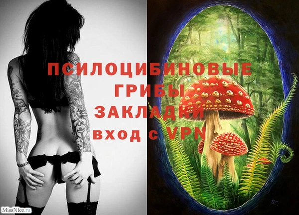 Альфа ПВП Армянск