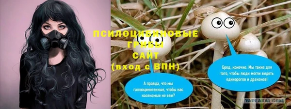Альфа ПВП Армянск