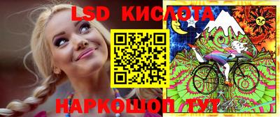 мдпв Гусев