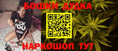 мдпв Гусев