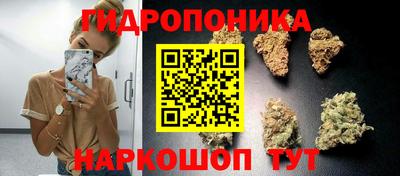 мдпв Гусев
